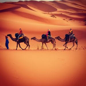 Camel trekking in Merzouga desert Morocco